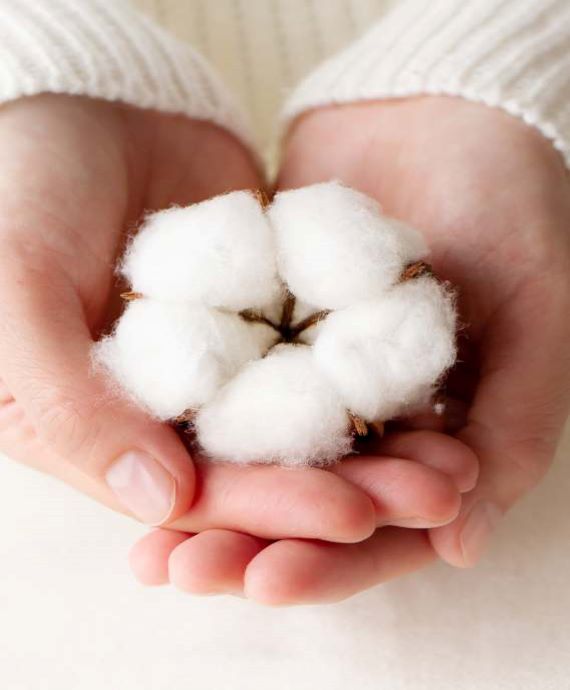 Warum ist Bio Baumwolle besser? 