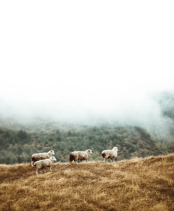 Strickkunst aus Deutschland: obumi Accessoires aus edlem Strick - obumi